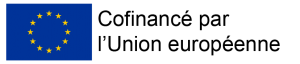 Logo FSE