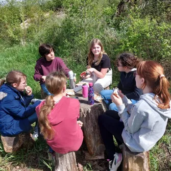 Initiation à l’apiculture