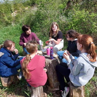 Initiation à l’apiculture