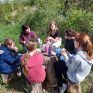 Initiation à l’apiculture